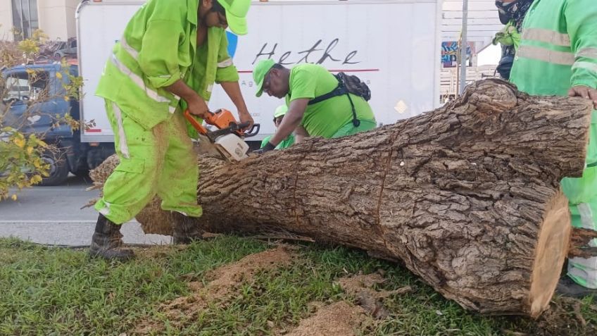 La SSPC destaca las labores hechas en Guerrero a 8 días del paso del huracán "Otis"