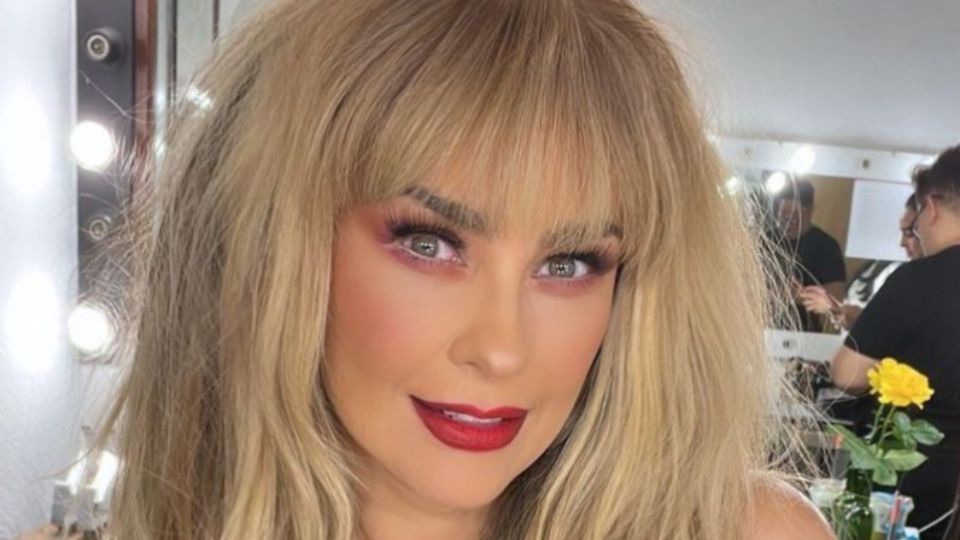 Aracely Arámbula le propuso a Michelle Salas que su hermano, Miguel, la entregara en el altar