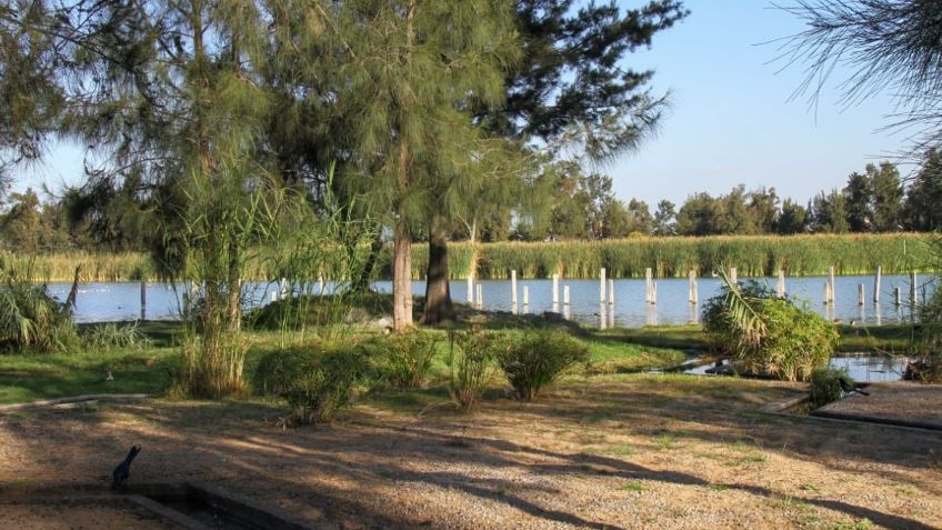 Bosque de San Juan de Aragón cumple 59 años; así ha mejorado