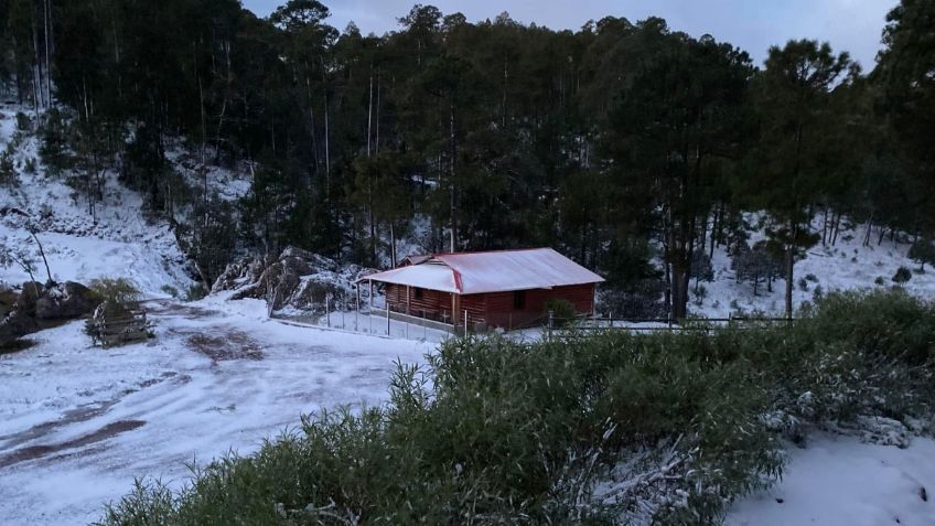 FOTOS: Bariaguato despierta cubierto de blanco, fuerte nevada sorprende a la tierra del "Chapo"