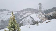 FOTOS | ¡México se pinta de blanco! Cae nieve en varios estados