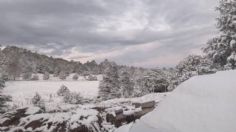 13 municipios de Chihuahua amanecen cubiertos de nieve, las temperaturas llegan a los 1.4 grados