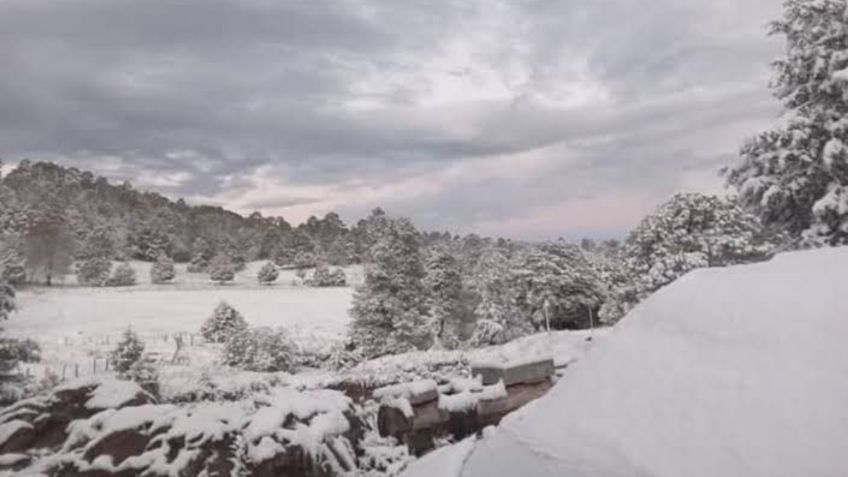 13 municipios de Chihuahua amanecen cubiertos de nieve, las temperaturas llegan a los 1.4 grados