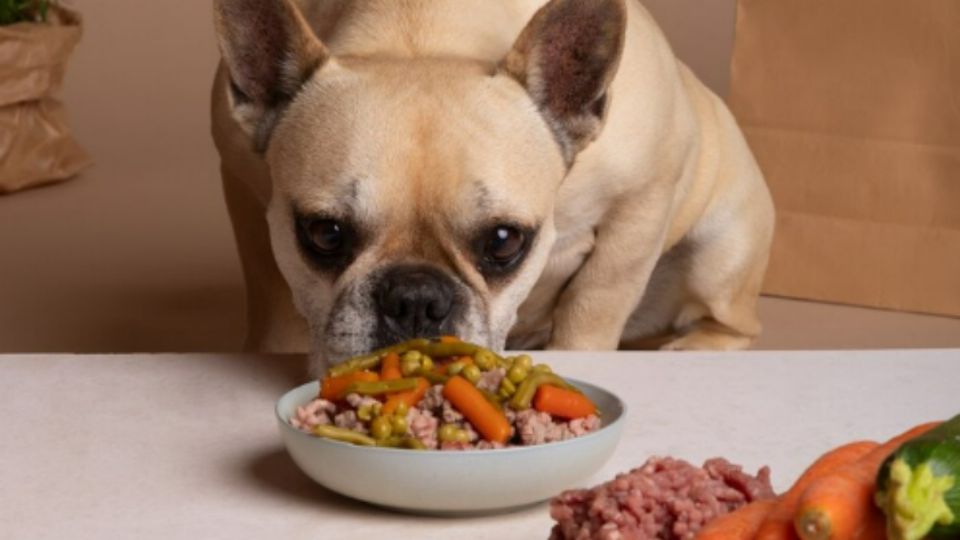 Las verduras cocidas pueden ser una gran fuente de fibra dietética, que puede ayudar a mantener la salud del sistema digestivo del perro