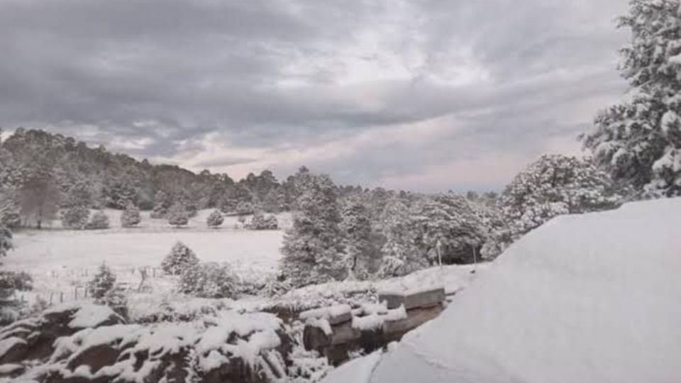 Se espera  que la temperatura aumente a 21 grados centígrados en el trascurso del día