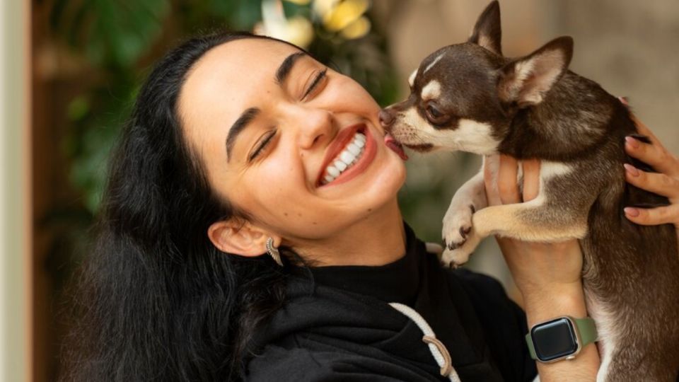 Estas palabras son capaces de llenar de felicidad a los perritos.