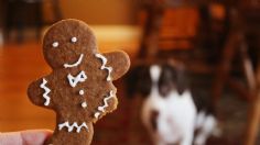 Galletas de jengibre sin horno, así puedes prepararlas para disfrutar del invierno en casa