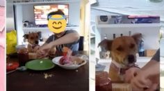 Se escapó con la vecina: un perrito se hace viral por huir de su casa para ir a desayunar gratis| VIDEO