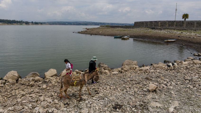 Crisis del agua: Martí Batres propone reforestar la CDMX para tener más captación de agua, ¿cómo funcionaría su plan?