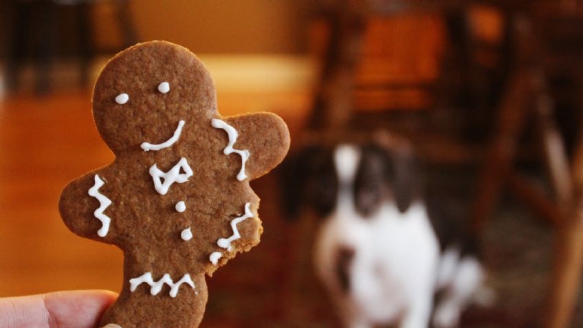 Galletas de jengibre sin horno, así puedes prepararlas para disfrutar del invierno en casa