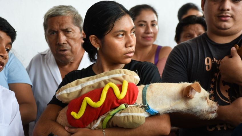 Mujeres con Bienestar la tarjeta también da asistencia para tu mascota, así funciona