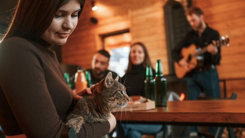 Joven denuncia públicamente a restaurante por una infestación de gatos y sale regañada por el Internet: "provienes del mono"