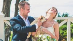 ¿Es legal que mi perrito sea testigo en mi boda? La ley lo aclara