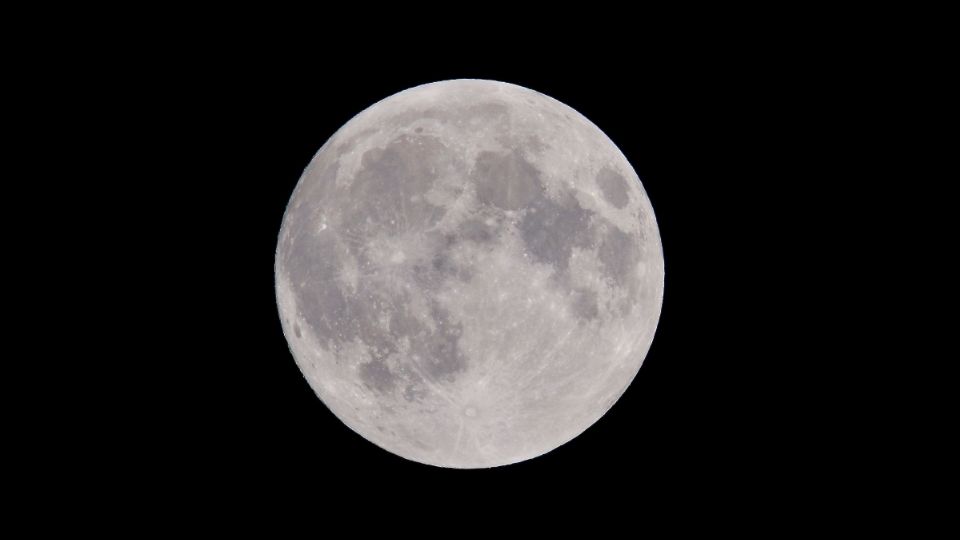 Se le conoce como 'luna de castor' a la también luna llena de noviembre.