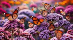 ¿Cómo crear un jardín que atraiga mariposas y huela delicioso?