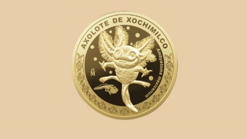 Moneda de ajolote: ¿dónde y cómo conseguir esta cotizada pieza de colección?