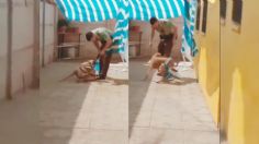 VIDEO: Un policía rescata a un perrito que estaba atorado en una lona y su agradecimiento es conmovedor