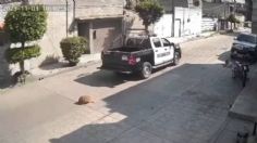 VIDEO: patrulla atropella y mata a un perro en Chimalhuacán, vecinos piden justicia por el lomito