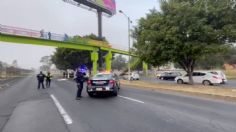 Mujer se lanza de puente peatonal en la avenida Central, genera caos vial