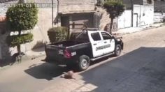 Homicidio de "Peluche": ¿qué castigo marca la Ley de Protección Animal para los policías que lo atropellaron?