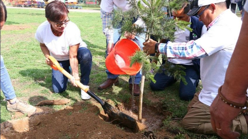 "Jardines para la Vida" ha capacitado a más de 900 mujeres en CDMX