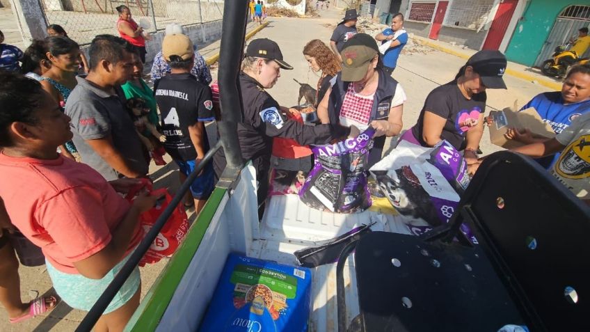 La Brigada de Vigilancia Animal le tiende la mano a los animales de Guerrero tras el paso de "Otis", les llevan 4 toneladas de alimento