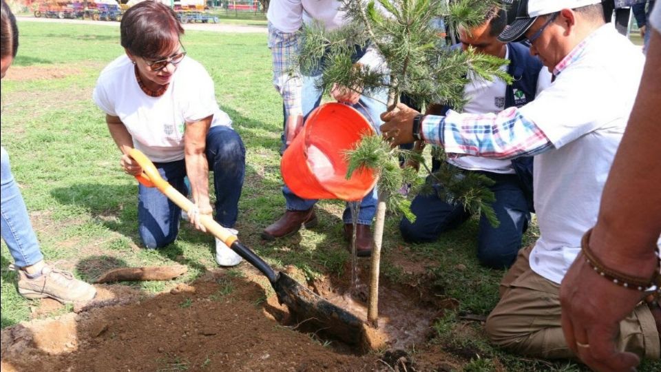 Jardines para polinizadoras en San Juan de Aragón.