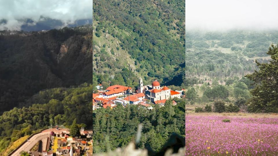 Estos bellos lugares se caracterizan por sus paisajes boscosos.