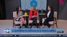 Llaman especialistas a proteger la maternidad en el entorno laboral como un bien social