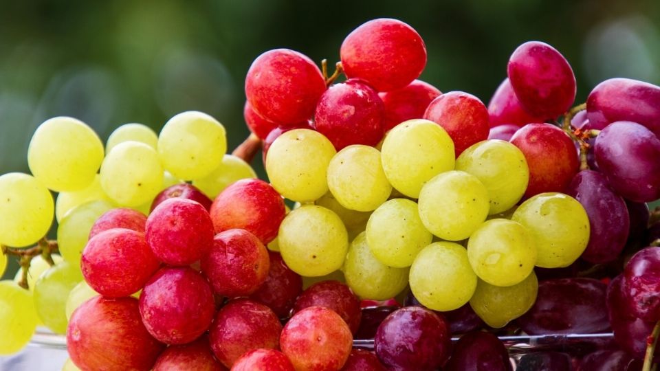 Es bueno comer uvas siempre y cuando se haga con moderación