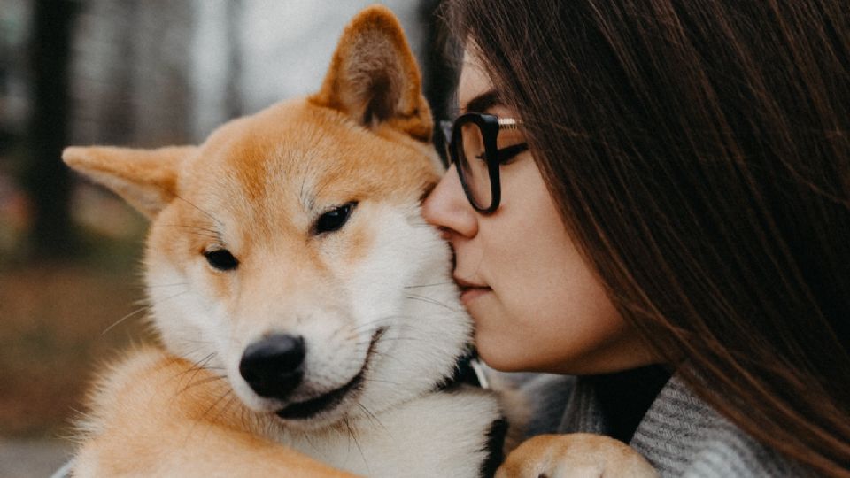 Los perros son los más amorosos y estas son las señales para saber qué sienten por ti.