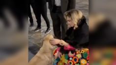 Aracely Arámbula conmueve con tierno gesto para un perrito callejero en la Basílica de Guadalupe