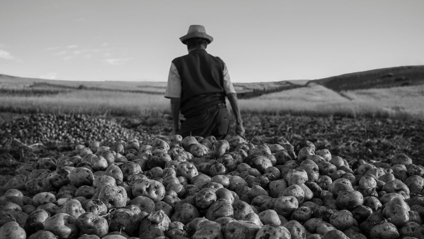 Un nuevo diálogo con el Anahuacalli