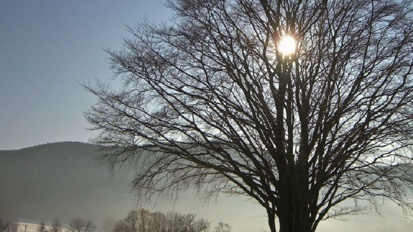 Solsticio de invierno: ¿cómo se produce este evento natural?