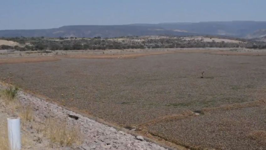 Aguascalientes no puede esperar más al gobierno federal en la declaratoria de emergencia por sequía