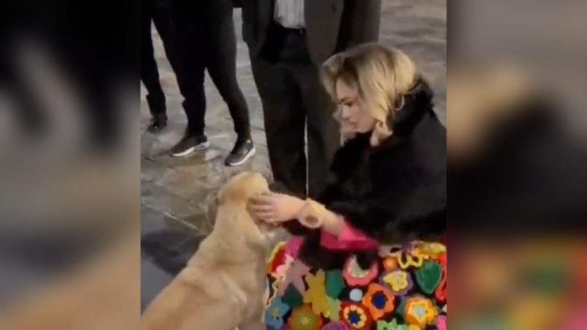 Aracely Arámbula conmueve con tierno gesto para un perrito callejero en la Basílica de Guadalupe