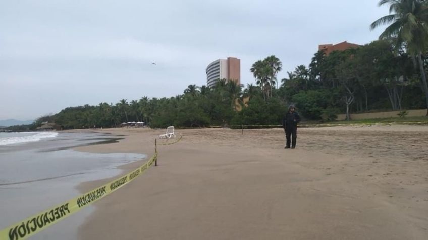 Ataque de Tiburón deja un turista muerto otro herido de gravedad en Zihuatanejo