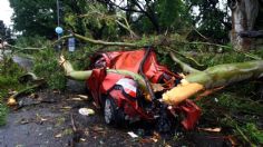 FOTOS: poderosa tormenta de Argentina deja 16 muertos