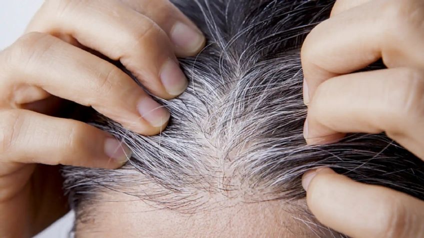 Toma asiento antes de saber el truco con agua de romero ideal para hacer crecer tu cabello