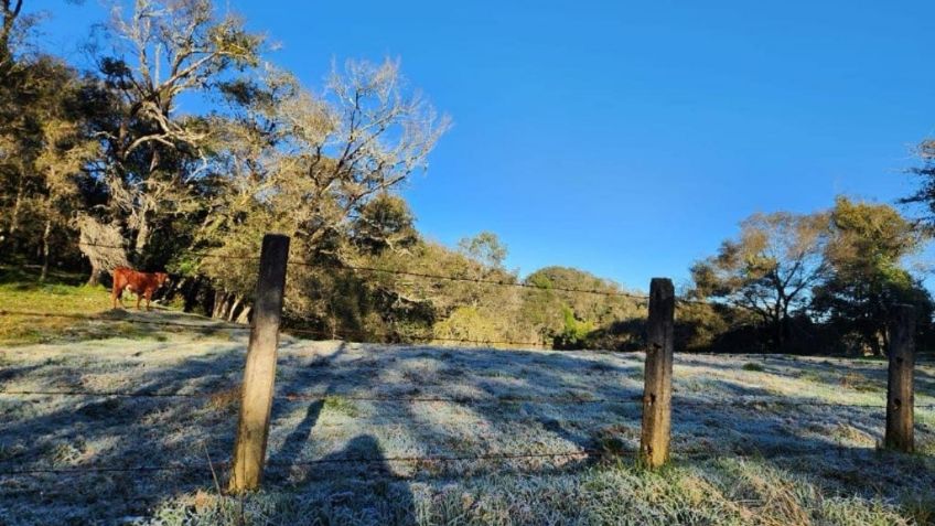 Se registran heladas en 9 municipios de Veracruz: reportan temperaturas de -11ºC  