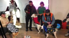 Perritos invaden el Metro: ayudantes de Santa y Los Reyes recibirán cartas de los niños