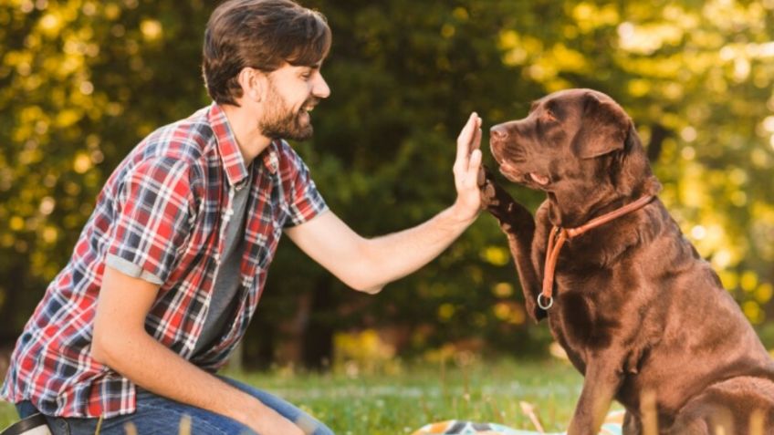 ¿Tu perro sabe cuál es su nombre y el de su dueño?