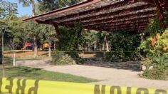 Encuentran el cadáver de un hombre en juegos infantiles del Bosque de Chapultepec