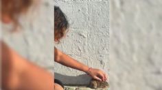 VIDEO | ¡Ternura! Chica acaricia a rata callejera en Tijuana