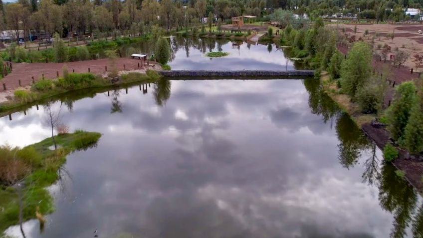 Sedema resalta creación de humedal en Vivero Forestal San Luis Tlaxialtemalco