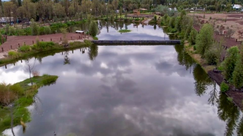 En la zona ya se observan garzas, especies de pato, libélulas y golondrinas.