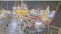 Mujer muere aplastada tras la caída de un árbol monumental en mercado navideño: VIDEO