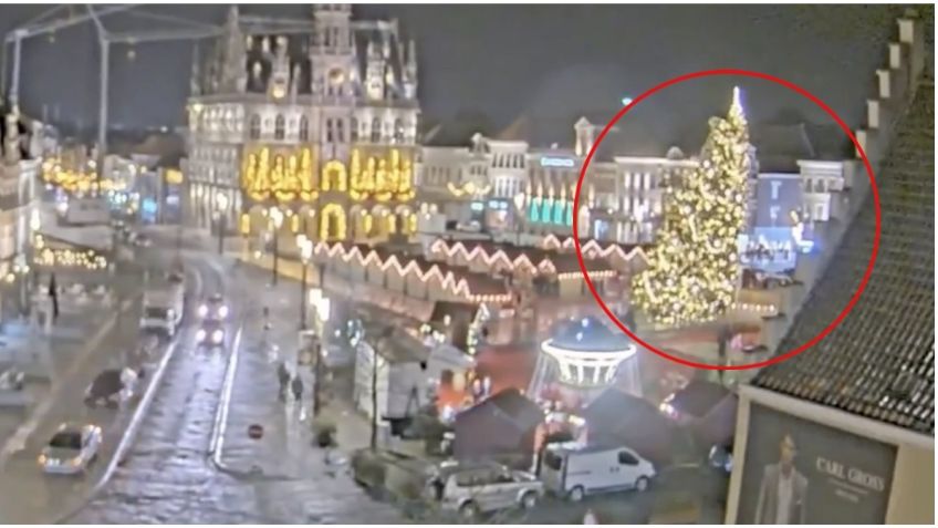 Mujer muere aplastada tras la caída de un árbol monumental en mercado navideño: VIDEO