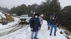 ¡Blanca Navidad! Los 5 estados que tendrán caída de nieve en las próximas horas