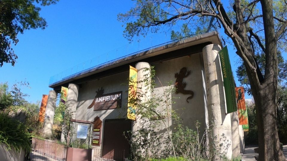 Instalaciones del Anfibium en el Bosque de Chapultepec.